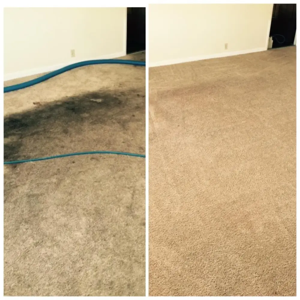 Before and after carpet cleaning in a bedroom Before and after carpet cleaning in a bedroom