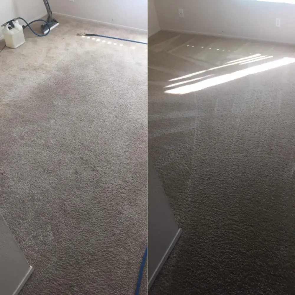 Commercial carpet before and after cleaning Commercial carpet before and after cleaning