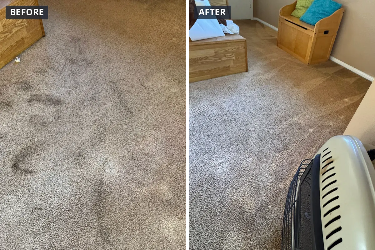 Before and after carpet cleaning in a San Diego living room Before and after carpet cleaning in a San Diego living room