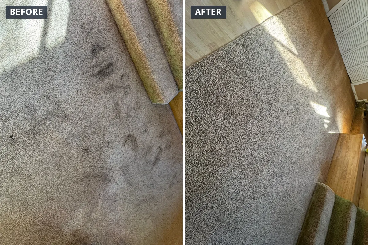 Carpet by a step landing before and after cleaning Carpet by a step landing before and after cleaning