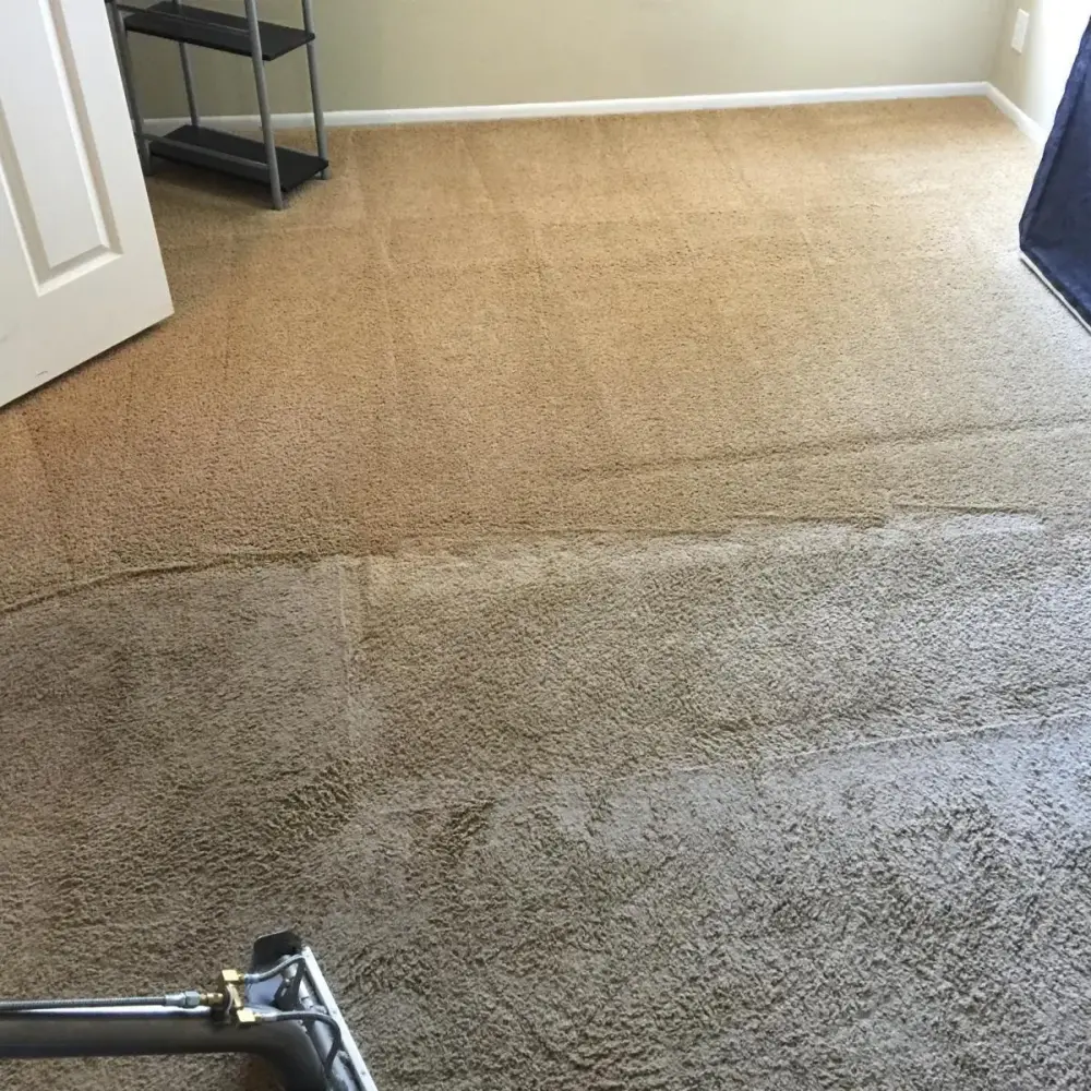 Carpet being extracted after water damage β Imperial Carpet Cleaning, San Diego Carpet being extracted after water damage β Imperial Carpet Cleaning, San Diego