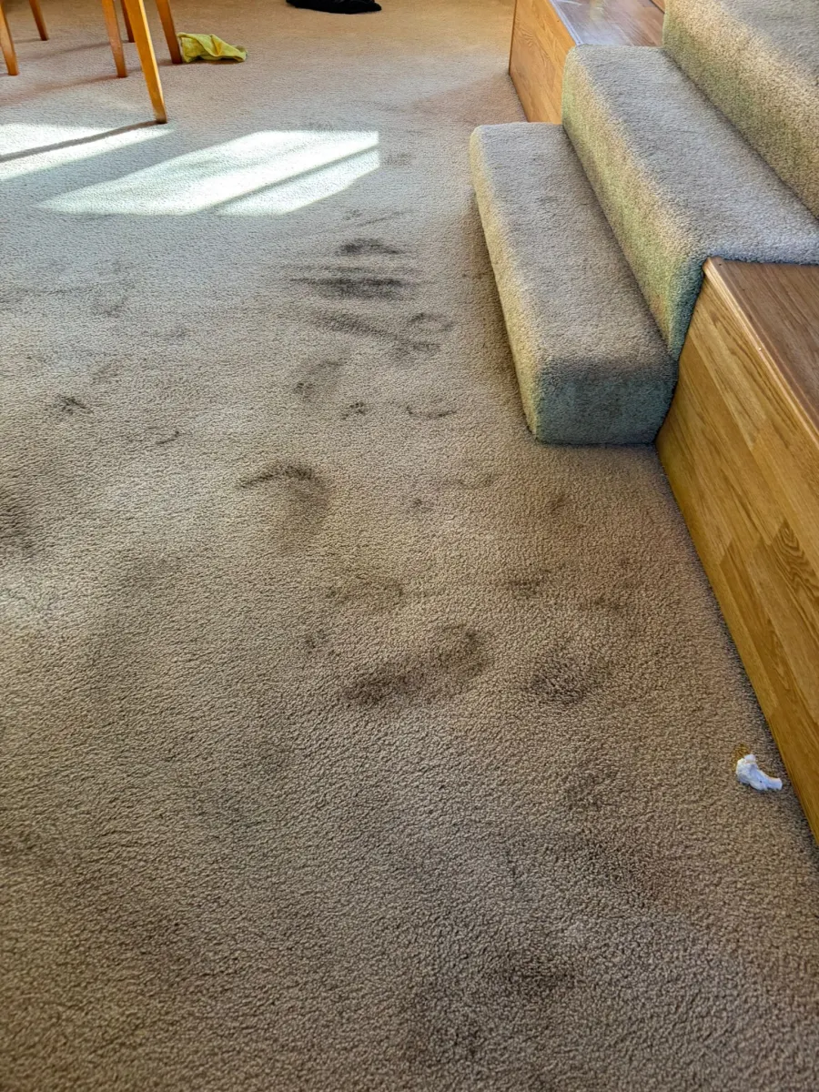 Carpet with heavy footprint soiling before cleaning Carpet with heavy footprint soiling before cleaning