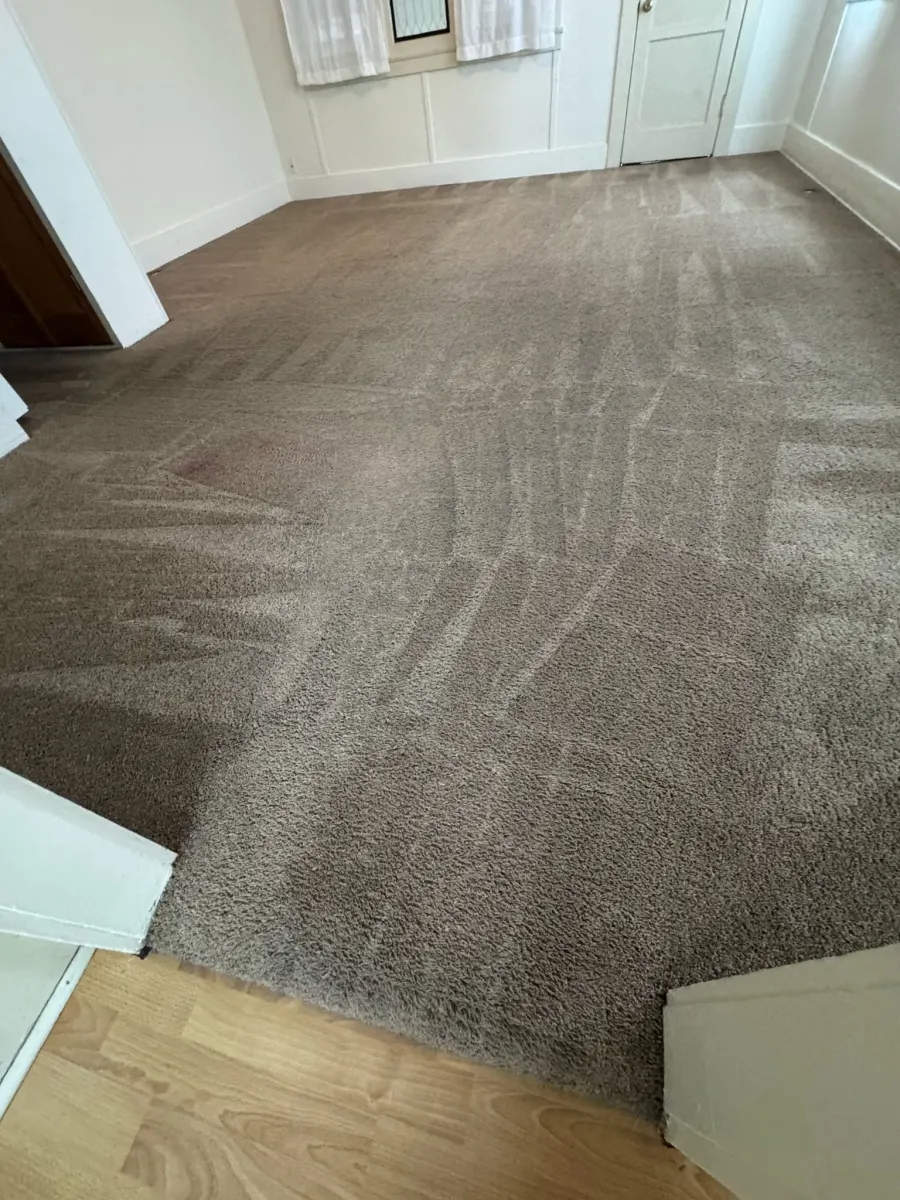 Bedroom carpet groomed after hot-water extraction β Imperial Carpet Cleaning, San Diego Bedroom carpet groomed after hot-water extraction β Imperial Carpet Cleaning, San Diego