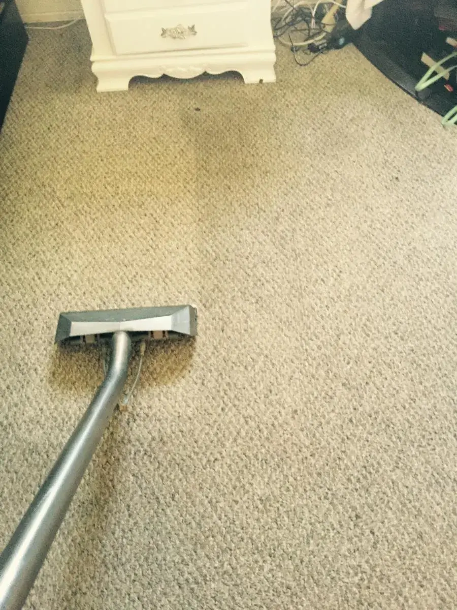 Technician cleaning a bedroom carpet Technician cleaning a bedroom carpet