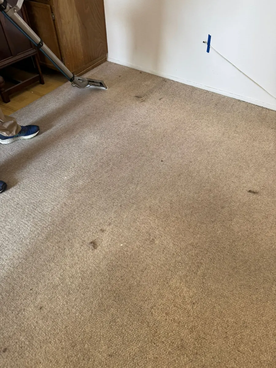 Extraction wand cleaning a soiled beige carpet β Imperial Carpet Cleaning, San Diego Extraction wand cleaning a soiled beige carpet β Imperial Carpet Cleaning, San Diego
