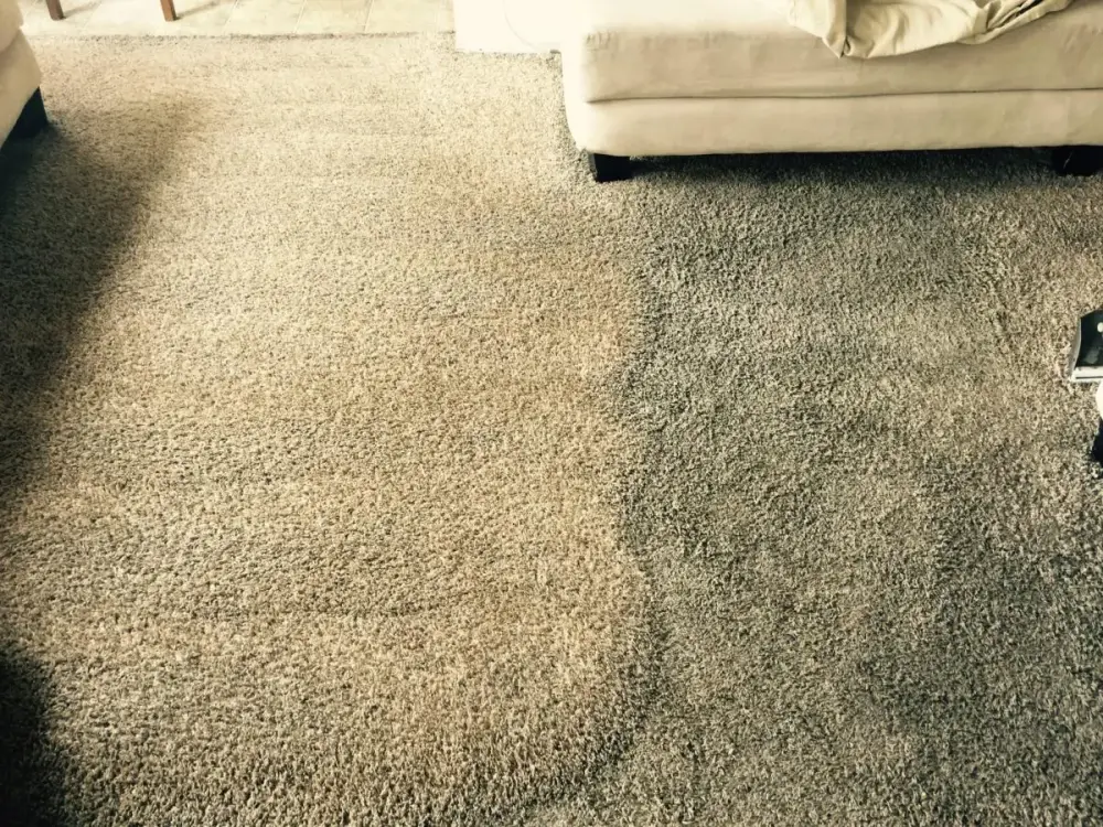 Technician cleaning living room carpet with extraction wand β Imperial Carpet Cleaning, San Diego Technician cleaning living room carpet with extraction wand β Imperial Carpet Cleaning, San Diego