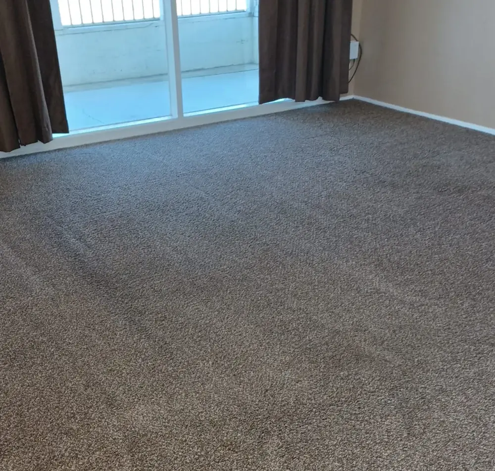 Restored bedroom carpet after drying and cleaning β Imperial Carpet Cleaning, San Diego Restored bedroom carpet after drying and cleaning β Imperial Carpet Cleaning, San Diego