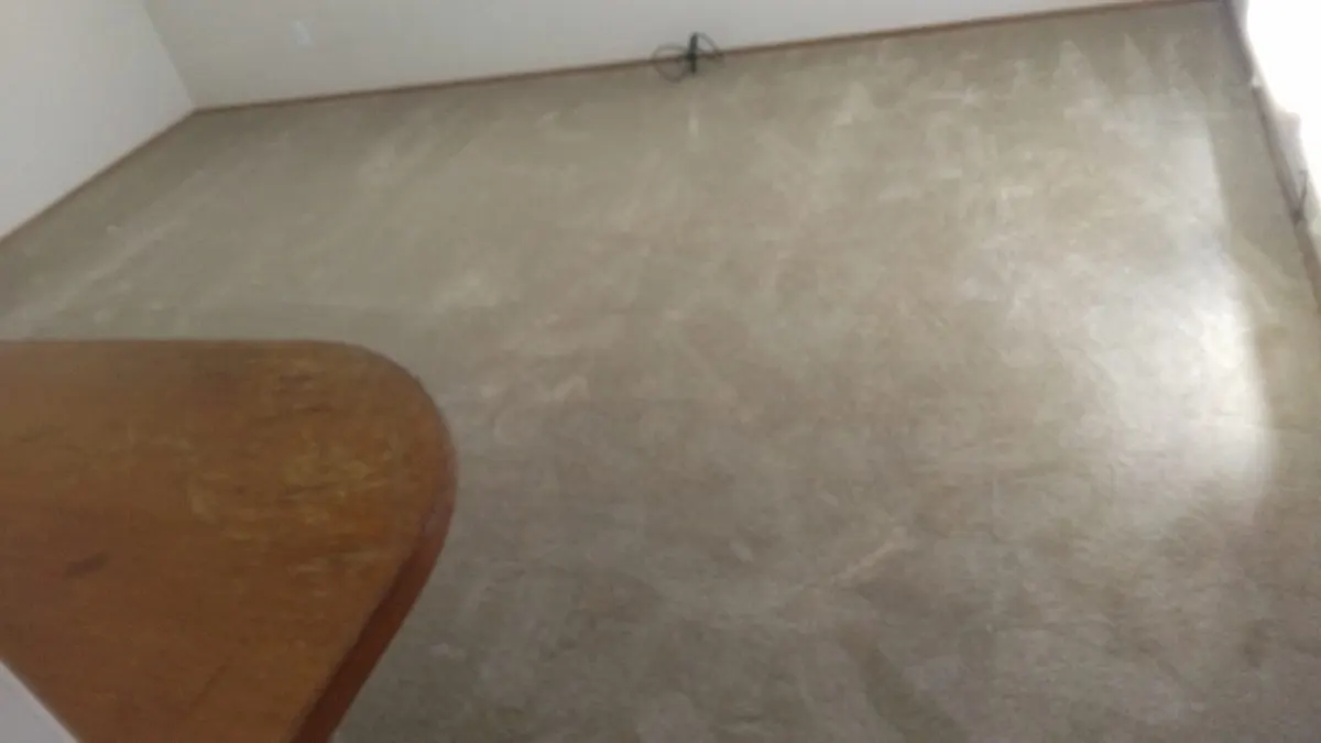 Clean carpet in an empty room ready for move-in β Imperial Carpet Cleaning, San Diego Clean carpet in an empty room ready for move-in β Imperial Carpet Cleaning, San Diego