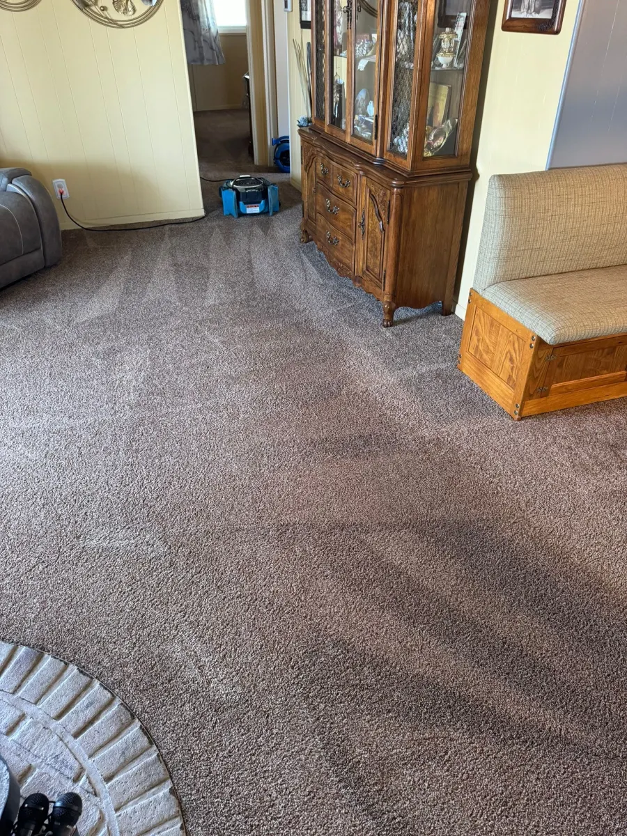 Living room carpet after deep cleaning β Imperial Carpet Cleaning, San Diego Living room carpet after deep cleaning β Imperial Carpet Cleaning, San Diego