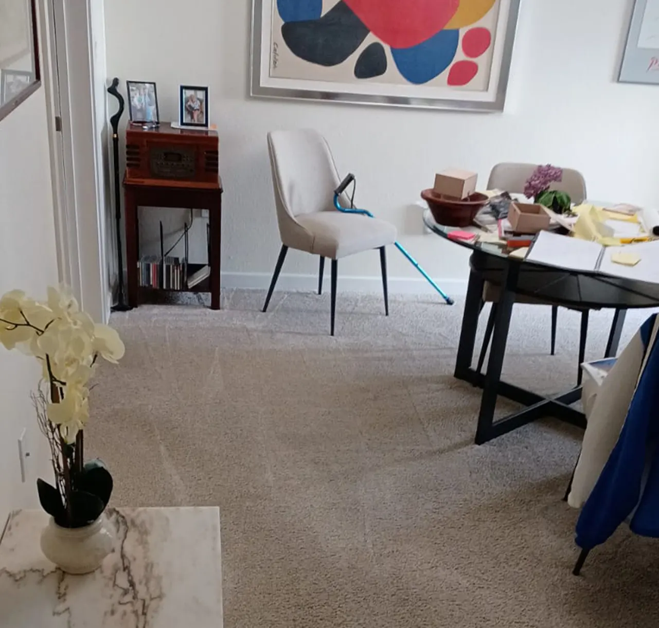 Clean living room after furniture and carpet cleaning β Imperial Carpet Cleaning, San Diego Clean living room after furniture and carpet cleaning β Imperial Carpet Cleaning, San Diego