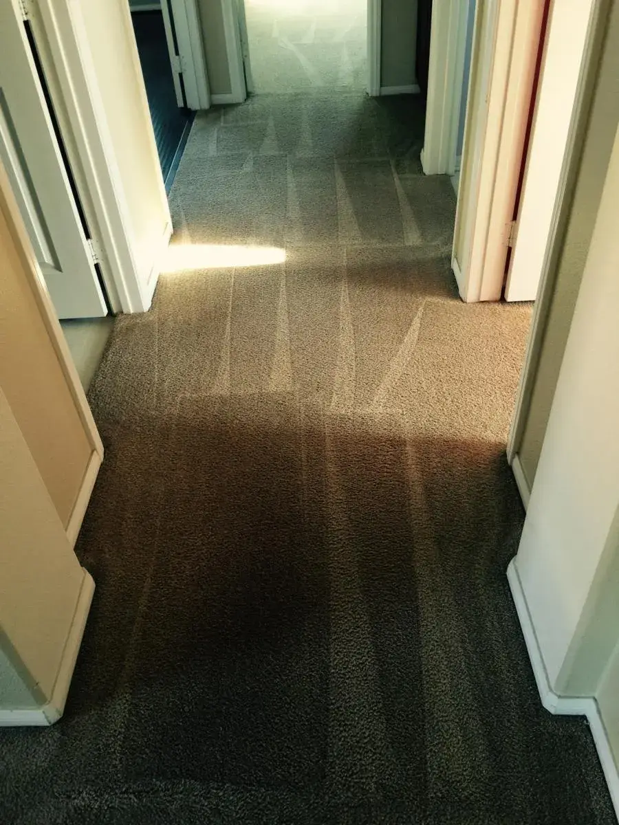Hallway carpet cleaning in a commercial property Hallway carpet cleaning in a commercial property