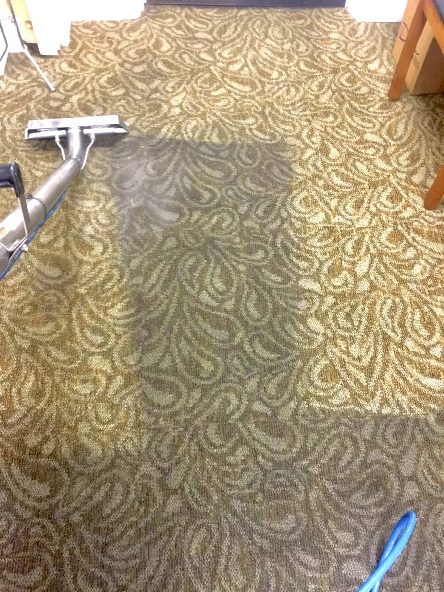 Patterned carpet half cleaned with an extraction wand β Imperial Carpet Cleaning, San Diego Patterned carpet half cleaned with an extraction wand β Imperial Carpet Cleaning, San Diego