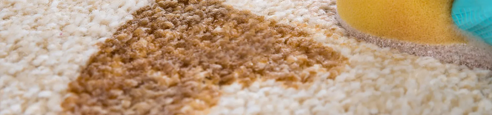 Stain carpet closeup β Imperial Carpet Cleaning, San Diego Stain carpet closeup β Imperial Carpet Cleaning, San Diego