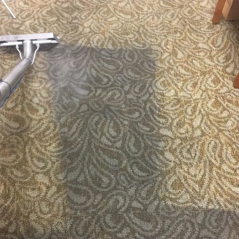 Stain removal on patterned carpet Stain removal on patterned carpet
