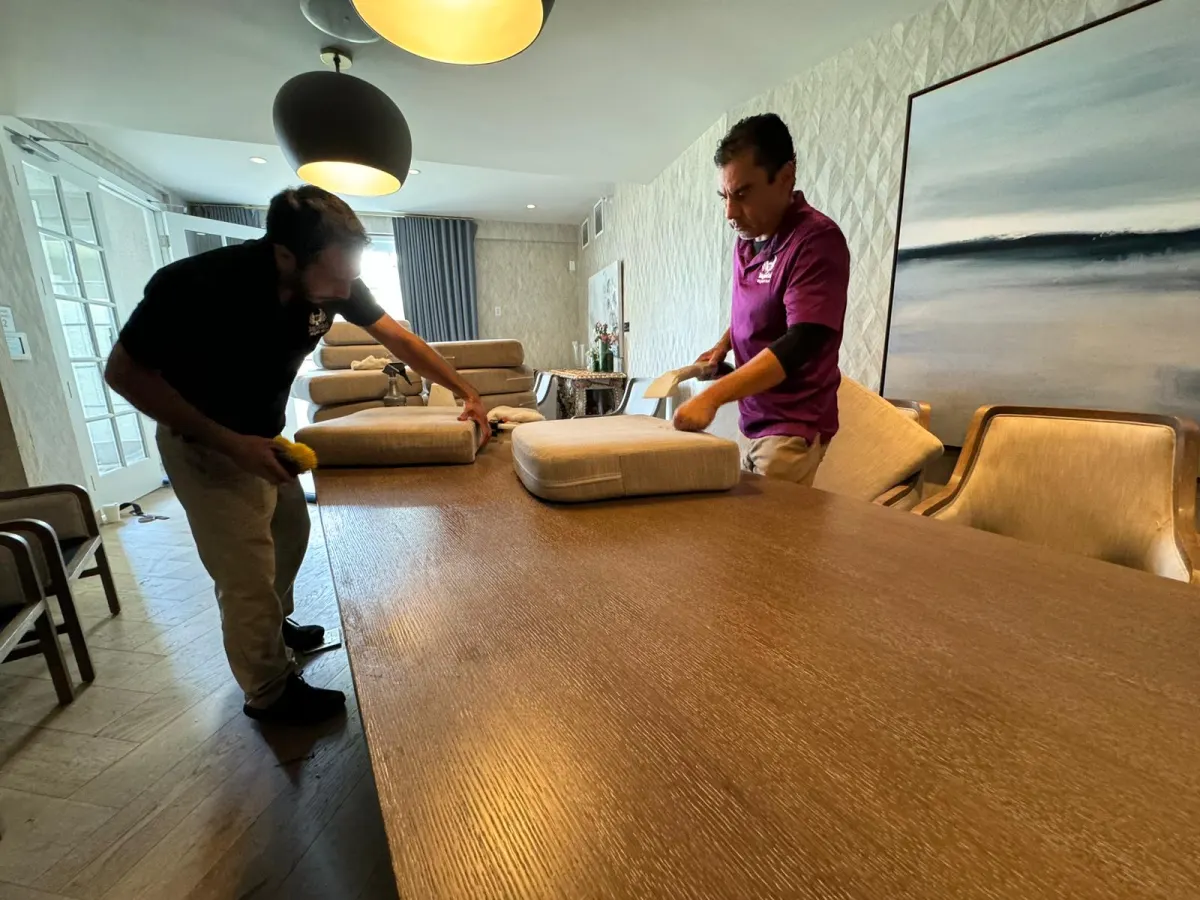 Two technicians cleaning sofa cushions in a living room Two technicians cleaning sofa cushions in a living room