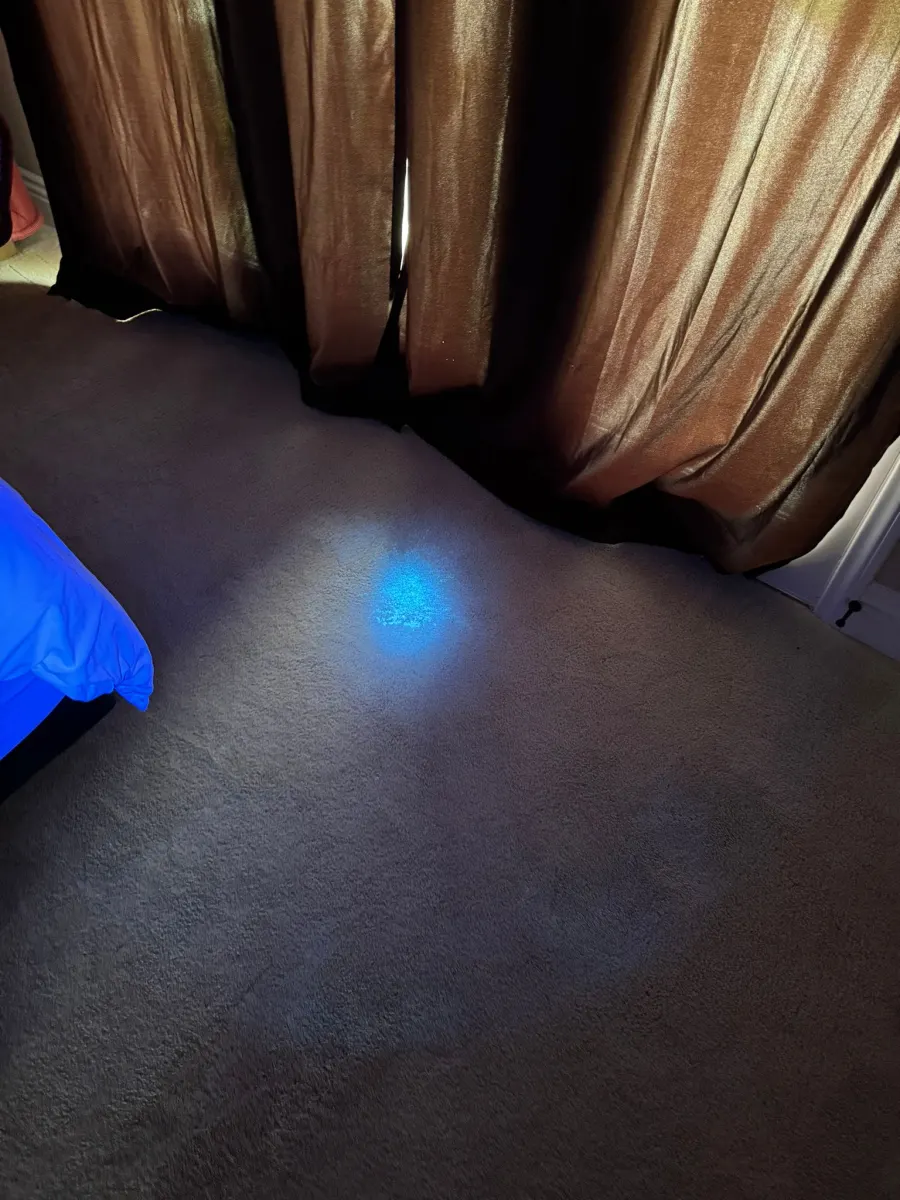 Blacklight check of carpet near a window for hidden pet spots β Imperial Carpet Cleaning, San Diego Blacklight check of carpet near a window for hidden pet spots β Imperial Carpet Cleaning, San Diego
